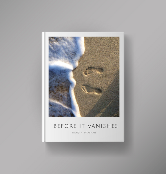 Before It Vanishes WFP Store