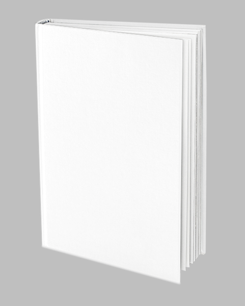 Sexaholics Anonymous - White Book – WFP Store