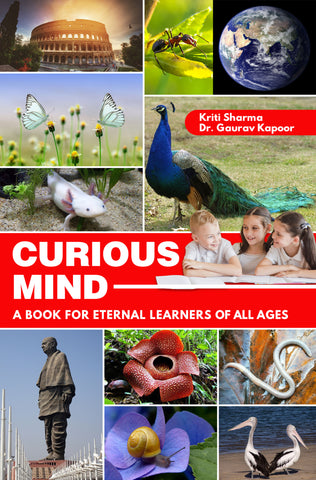 Curious Mind - A Book for Eternal Learners of all Ages