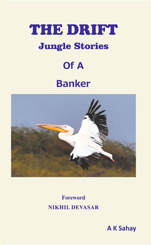 The Drift - Jungle Stories of a Banker
