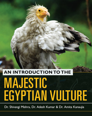 An Introduction to the Majestic Egyptian Vulture