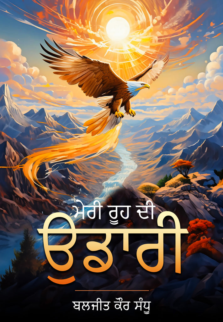 Meri Rooh Di Udari – WFP Store