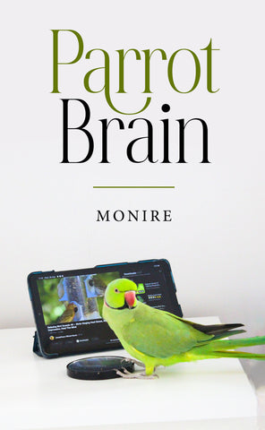Parrot Brain