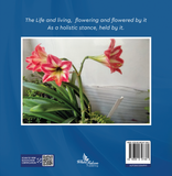 Quests of an Unknown Pedestrian