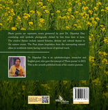 Songs of Meadows - Meadows-Clouds