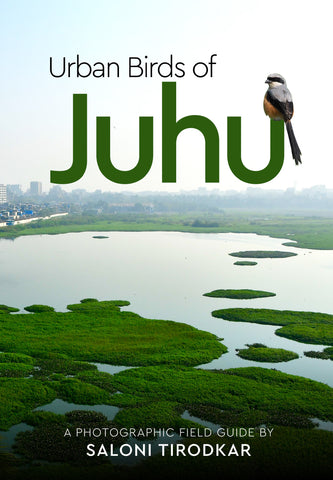 Urban Birds of Juhu: A Photographic Field Guide by Saloni Tirodkar (Full Colour)