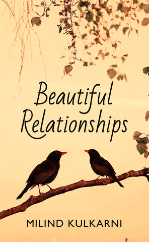 Beautiful Relationships - A Collection of Seven Fictions