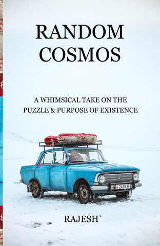 Random Cosmos: A whimsical take on the puzzle & purpose of existence