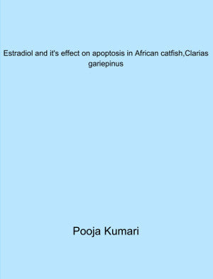 Estradiol and it's  effect on apoptosis in African catfish - Clarias gariepinus